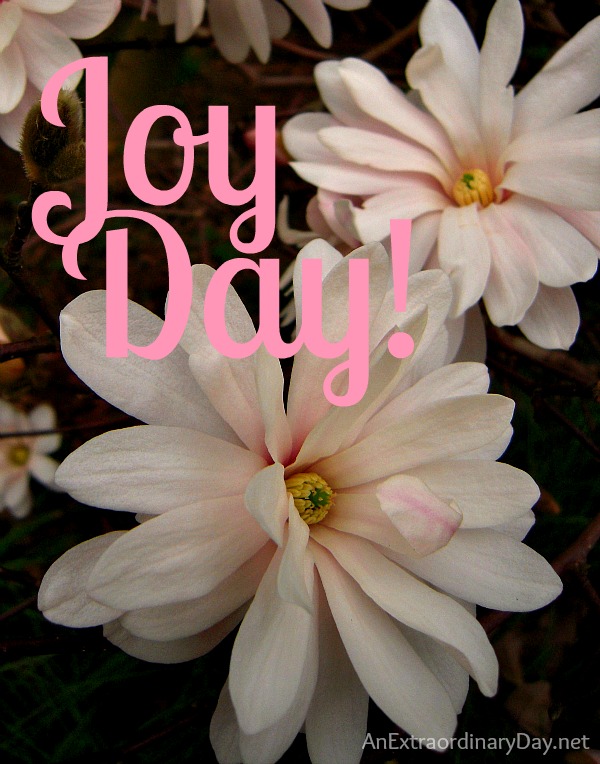 Joy Days @ An Extraordinary Day