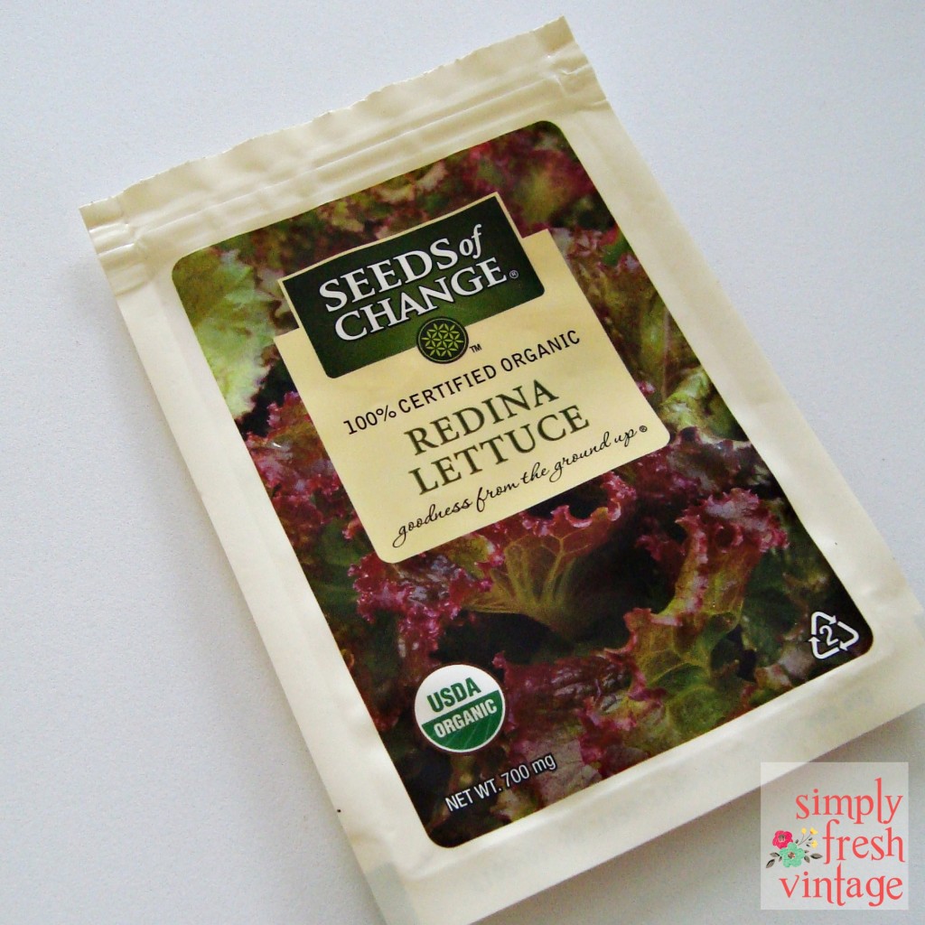 Redina Lettuce