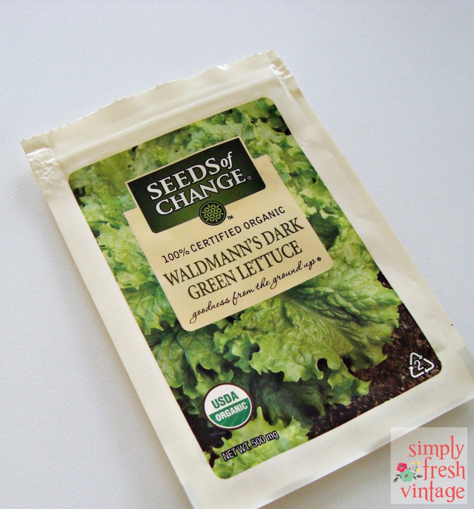 Waldmann's Dark Green Lettuce